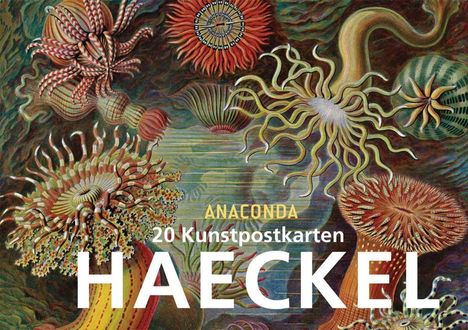 Ernst Haeckel: Haeckel, E: Postkartenbuch Ernst Haeckel, Buch