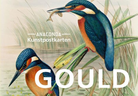 Postkarten-Set John Gould, Diverse