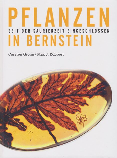 "PFLANZEN SEIT DER SAURIERZEIT EINGESCHLOSSEN IN BERNSTEIN" und Autoren: Carsten Gröhn, Max J. Kobbert. Blatt in Bernstein.