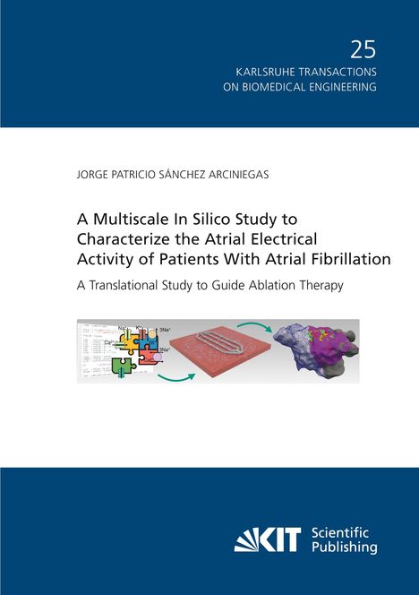 Jorge Patricio Sánchez Arciniegas: A Multiscale In Silico Study to Characterize the Atrial Electrical Activity of Patients With Atrial Fibrillation : A Translational Study to Guide Ablation Therapy, Buch