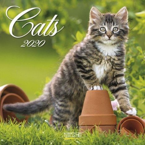 Cats 2020, Diverse