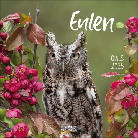 Eulen 2025, Kalender