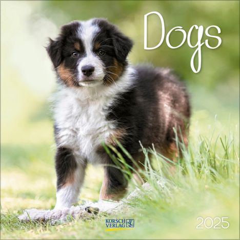 Dogs 2025, Kalender