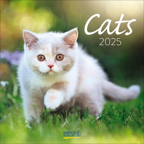 Cats 2025, Kalender