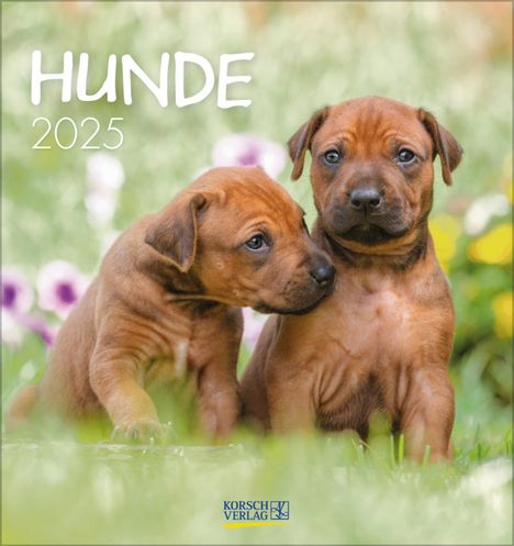 Hunde 2025, Kalender