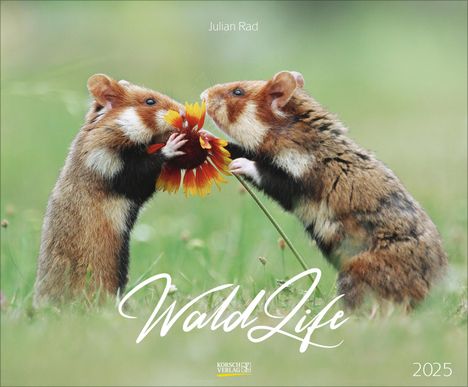 WaldLife 2025, Kalender