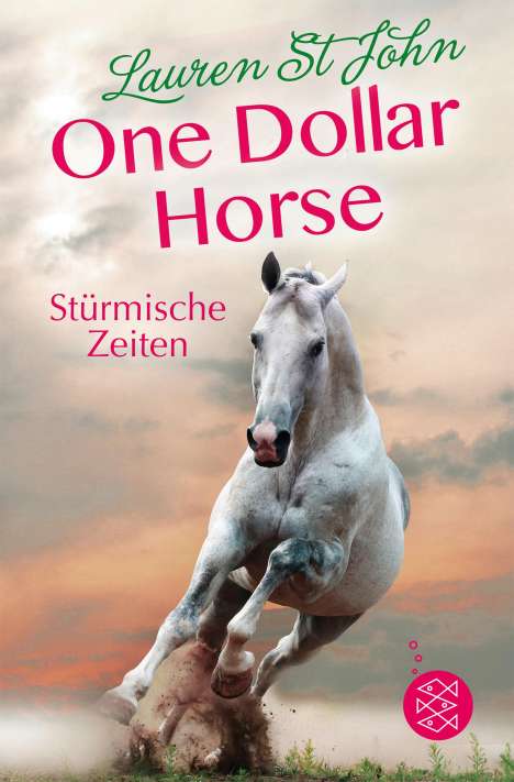 Lauren St. John: One Dollar Horse, Band 3 - Stürmische Zeiten, Buch