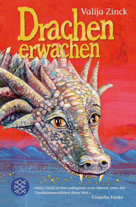 Valija Zinck: Drachenerwachen, Buch