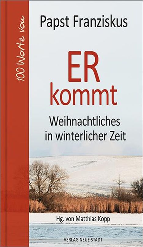 (Papst), Franziskus: ER kommt, Buch