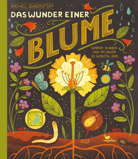 "Das Wunder einer Blume. Warum Blumen und Pflanzen so wichtig sind." Illustration mit Blumen, Insekten, Erde.