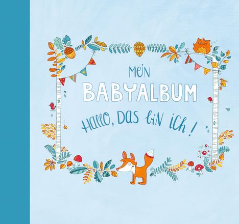 Anna Taube: Mein Babyalbum - Hallo, das bin ich! (Jungen), Buch