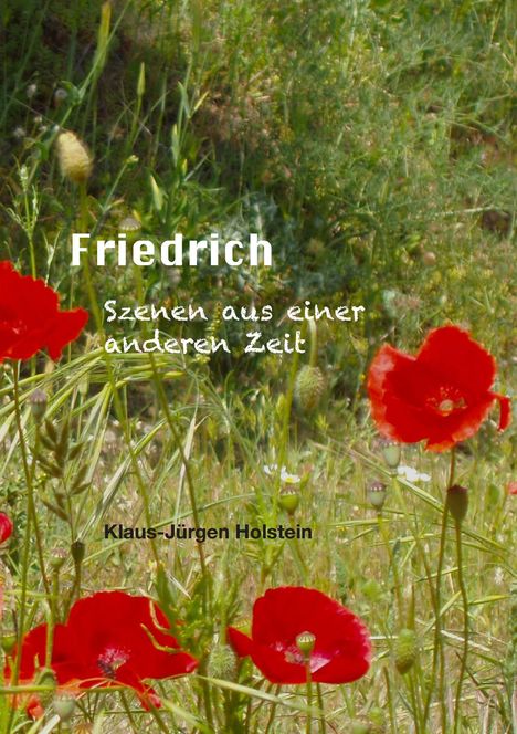 Klaus-Jürgen Holstein: Friedrich, Buch