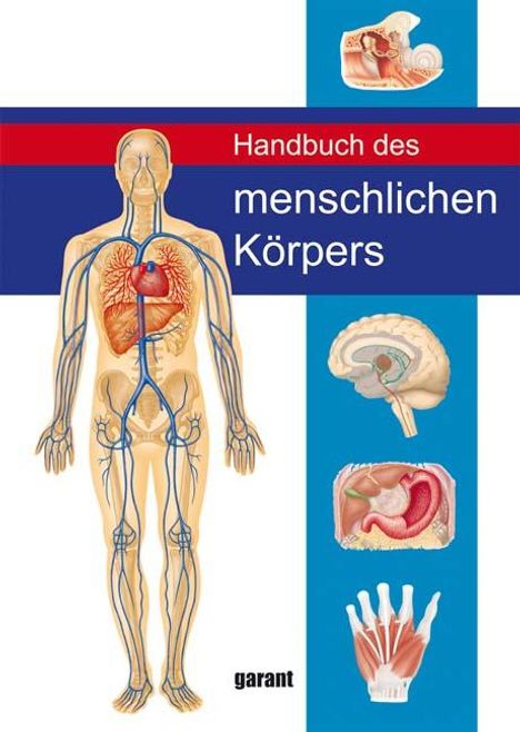 Peter Abrahams: Handbuch des Menschlichen Körpers, Buch