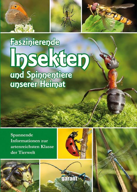 Faszinierende Insekten und Spinnentiere unserer Heimat, Buch