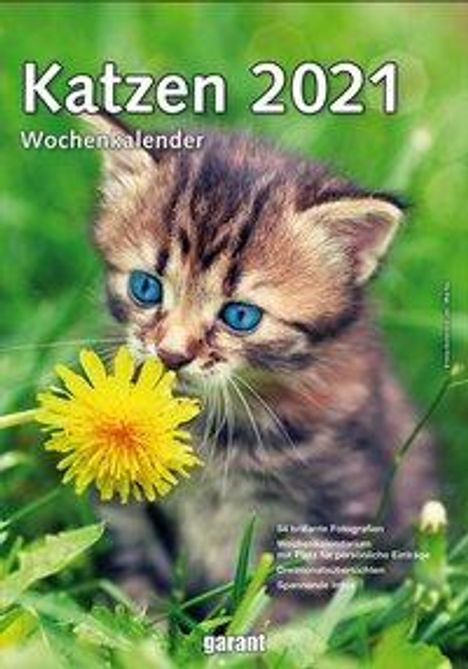 Wochenkalender Katzen 2021, Kalender