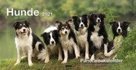 Panoramakalender Hunde 2021, Kalender