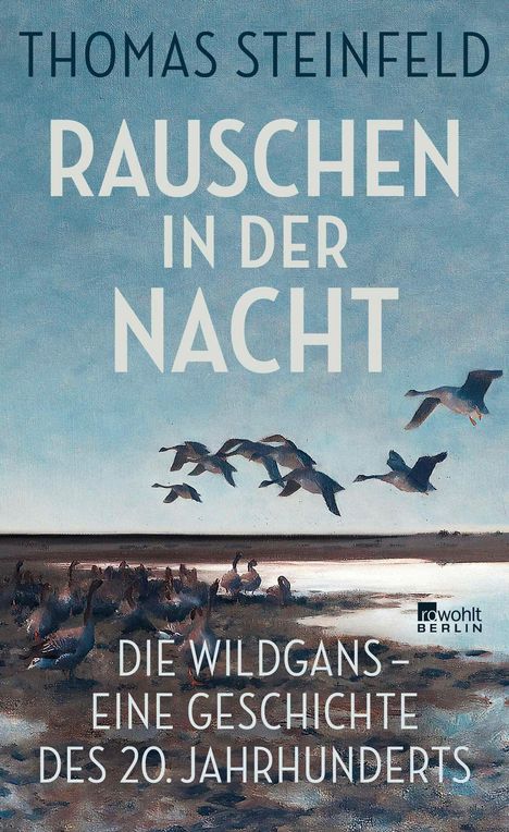 Thomas Steinfeld: Rauschen in der Nacht, Buch