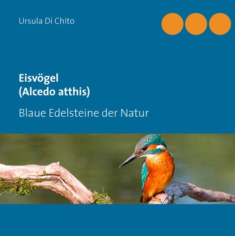 Ursula Di Chito: Eisvögel (Alcedo atthis), Buch
