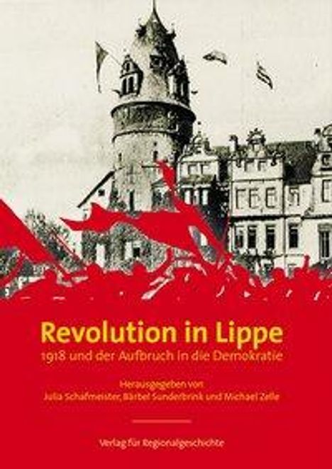 Revolution in Lippe, Buch