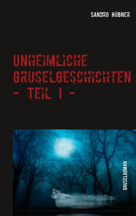Sandro Hübner: Unheimliche Gruselgeschichten - Teil I -, Buch