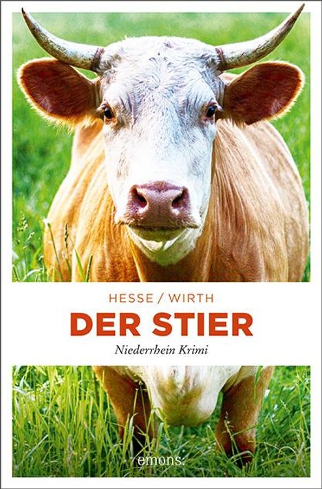 Thomas Hesse: Der Stier, Buch