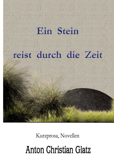 Anton Christian Glatz: Ein Stein reist durch die Zeit, Buch