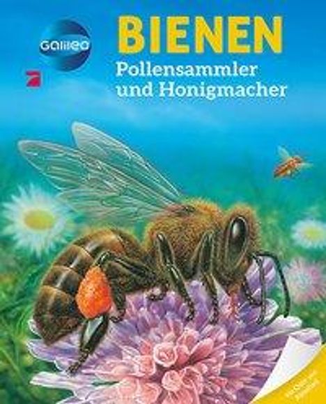 Galileo Wissen: Bienen, Buch