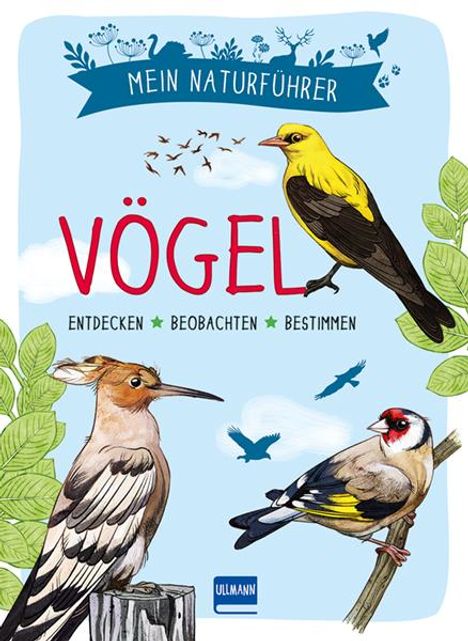 Michel Luchesi: Luchesi, M: Mein Naturführer - Vögel, Buch