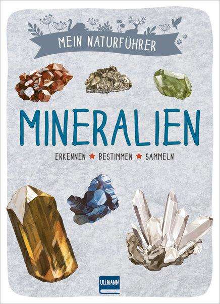 Laurence Denis: Mein Naturführer - Mineralien, Buch