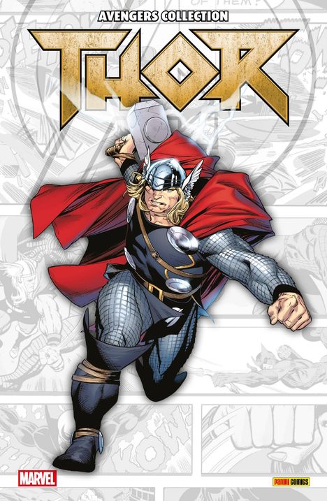 Fred Van Lente: Schweizer, R: Avengers Collection: Thor, Buch
