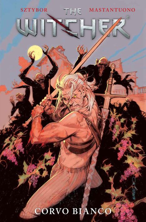 Bartosz Sztybor: The Witcher, Buch