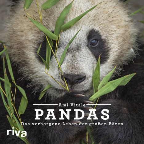 Ami Vitale: Vitale, A: Pandas, Buch
