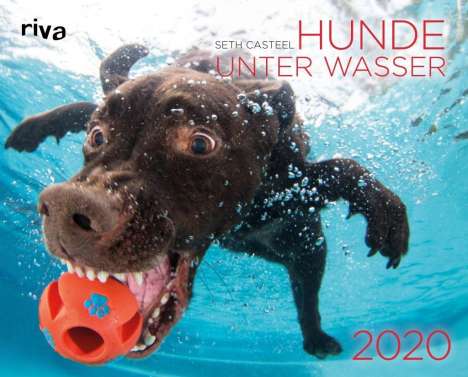 Seth Casteel: Hunde unter Wasser 2020, Diverse