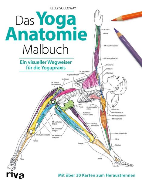 Kelly Solloway: Das Yoga-Anatomie-Malbuch, Buch