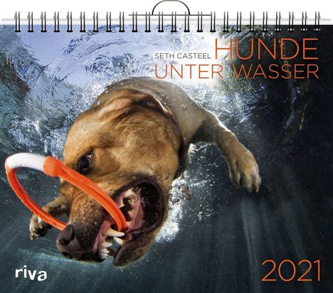 Seth Casteel: Casteel, S: Hunde unter Wasser 2021, Kalender