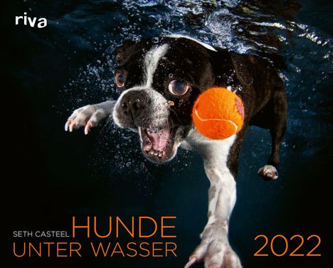 Seth Casteel: Casteel, S: Hunde unter Wasser 2022, Kalender