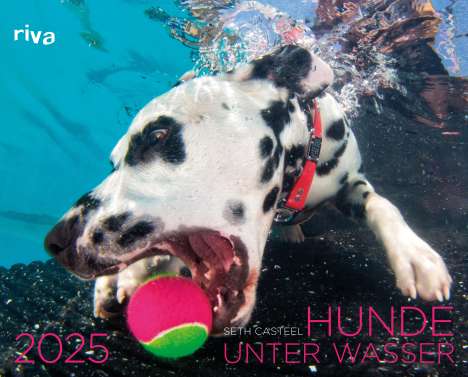 Seth Casteel: Hunde unter Wasser 2025, Kalender