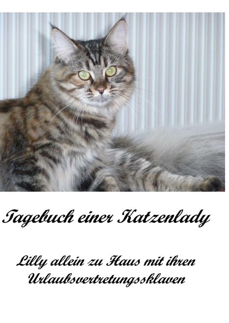 Ingrid Geith: Tagebuch einer Katzenlady, Buch