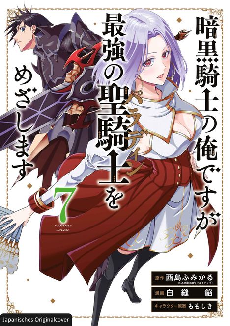 Fumikaru Nishijima: Dark Paladin 07, Buch