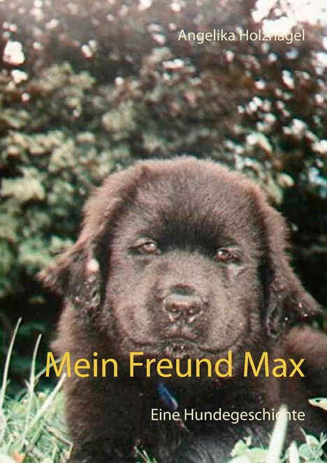 Angelika Holznagel: Mein Freund Max, Buch