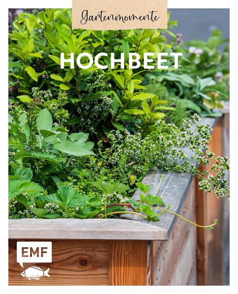 Gartenmomente: Hochbeet, Buch