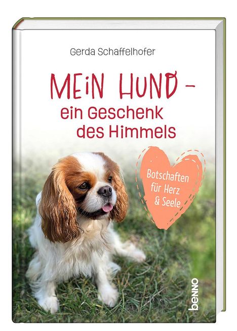 Gerda Schaffelhofer: Mein Hund - ein Geschenk des Himmels, Buch