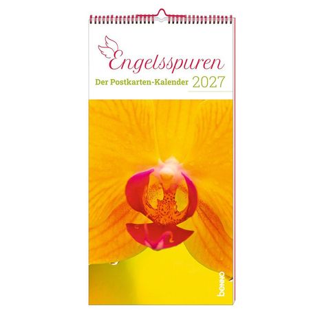 "Engelsspuren. Der Postkarten-Kalender 2027." Ein leuchtend gelbes Blumenmotiv mit einem Akzent in Pink.