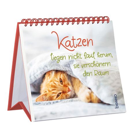 Katzen liegen nicht nur faul herum, sie verschönern den Raum, Buch