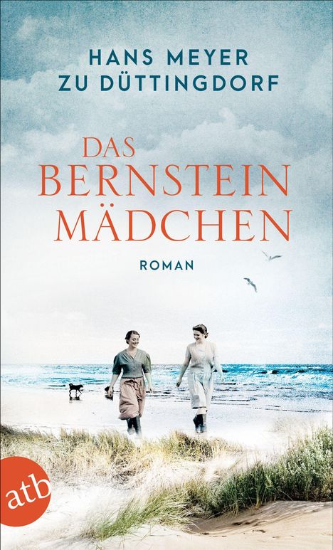 Hans Meyer Zu Düttingdorf: Das Bernsteinmädchen, Buch