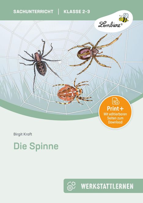 Birgit Kraft: Die Spinne, Buch