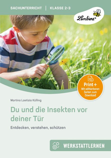 Martina Külling: Du und die Insekten vor deiner Tür, 1 Buch und 1 Diverse