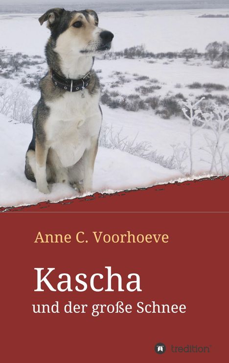 Anne C. Voorhoeve: Kascha und der große Schnee, Buch