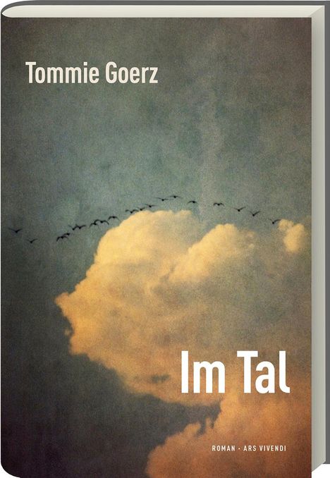Tommie Goerz: Im Tal, Buch