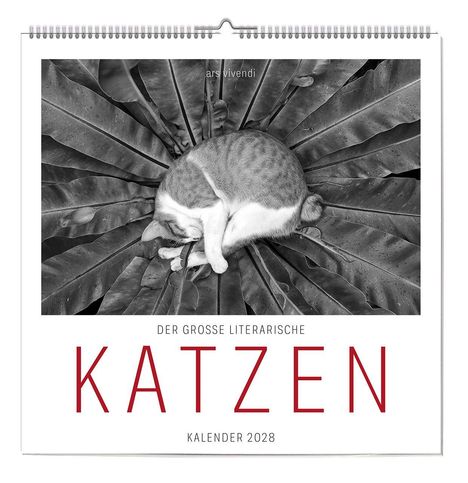 „Der große literarische KATZEN Kalender 2028“. Eine Katze schläft auf großen, radial angeordneten Blättern.